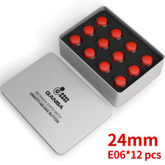 Clear Red E06(12 pcs）