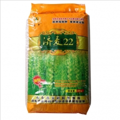 1kg wheatgrass seeds near me