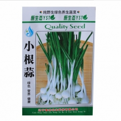 garlic seeds for sale 100gram/bags