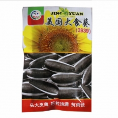 big sunflower seeds 100gram/bags for planting