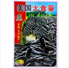High yield big size sunflower seeds 30gram/bags for planting