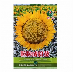 harvesting sunflower seeds 40gram/bags for planting