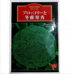 organic broccoli sprout seeds 2000 seeds
