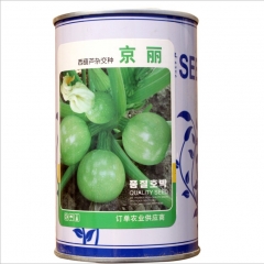 50gram round zucchini seeds