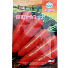 10gram/bags heirloom rainbow carrot seeds