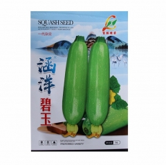 5gram organic zucchini seeds