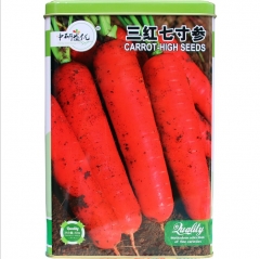 300gram/bags for planting cosmic purple carrot seeds