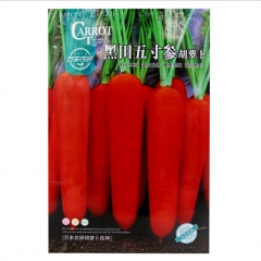 growing carrots from seed