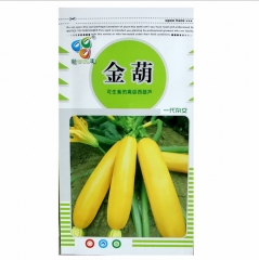 3gram yellow zucchini seeds