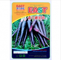 300 seeds/bag for planting black carrot seeds