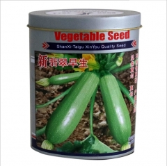 50gram best zucchini seeds