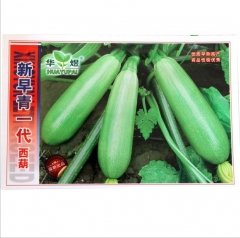 30 seeds cocozelle zucchini squash