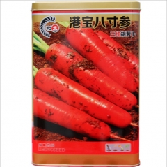 300gram nunhems carrot seed