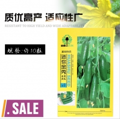 10 seeds asian cucumber varieties seeds