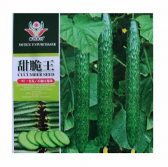 marketmore cucumber seeds