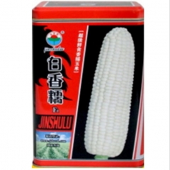 500gram container corn seeds