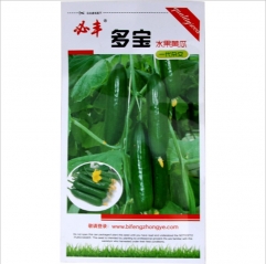 100 seeds heirloom straight eight cucumber