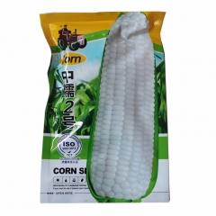 200gram broom corn seeds for sale