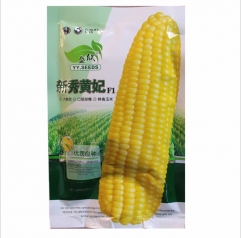 200gram indian corn seed for sale