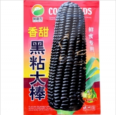 30gram purple corn seeds