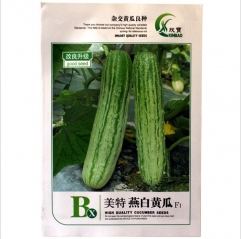200 seeds hybrid cucumber seeds