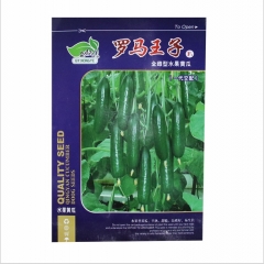 20 seeds organic persian cucumber seeds