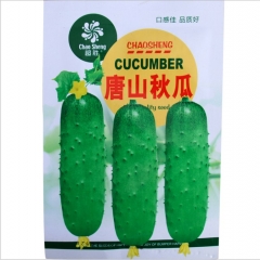 planting cucumber seeds