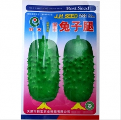 gherkin cucumber seeds