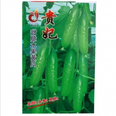 80 seeds fanfare cucumber seeds