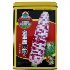 500gram sweet corn seed for sale near me