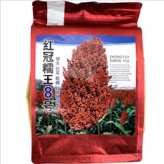 800kg per mu high yield grain sorghum seeds/Broomcorn seeds for planting 1kg/bags