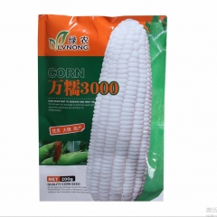 200gram best sweet corn seed