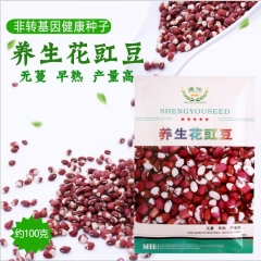 100gram red bean seeds