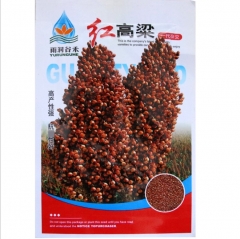 50gram hybrid sorghum seed for sale