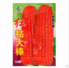 30gram red gem corn seeds