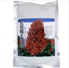 500gram hybrid grain sorghum seeds