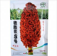 Forage grass grain sorghum seeds/Broomcorn seeds 200gram/bags
