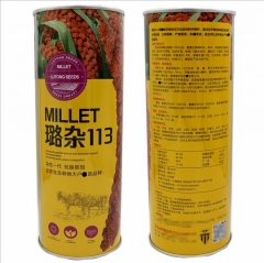 500gram black millet seeds