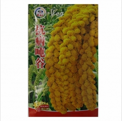 200gram japanese millet seed for sale near me