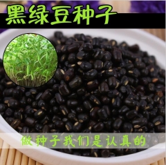 500gram black soybean seeds
