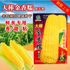 30gram 50 lb bag of sweet corn seed