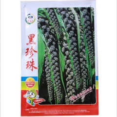 200gram hybrid pearl millet seed