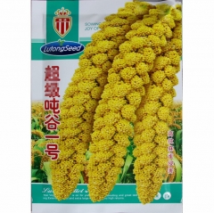 150 gram proso millet seed for sale