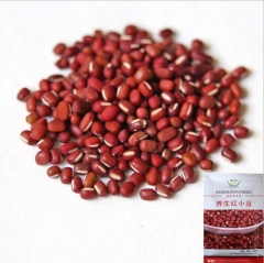 80gram azuki bean seeds