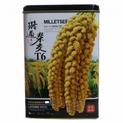 500gram millet seed for sale near me