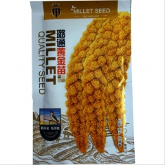 150gram white millet seed 50 lbs