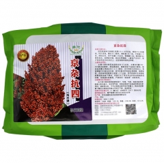 root development grain sorghum seeds/Broomcorn seeds 1kg/bags