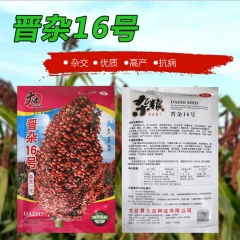 200gram grain sorghum seed for sale