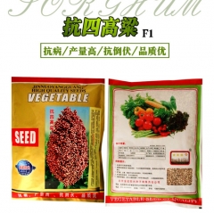 1kg advanta sorghum seed