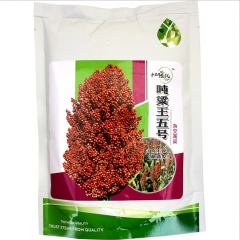 early-mature grain sorghum seeds/Broomcorn seeds 500gram/bags